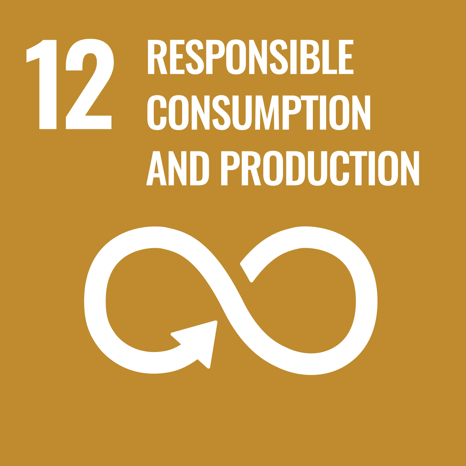 UN sustainability goal 12.